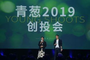 陳坤周迅助力青蔥新銳 第四屆青蔥計劃十強攜“小蔥”項目亮相影業服務平臺